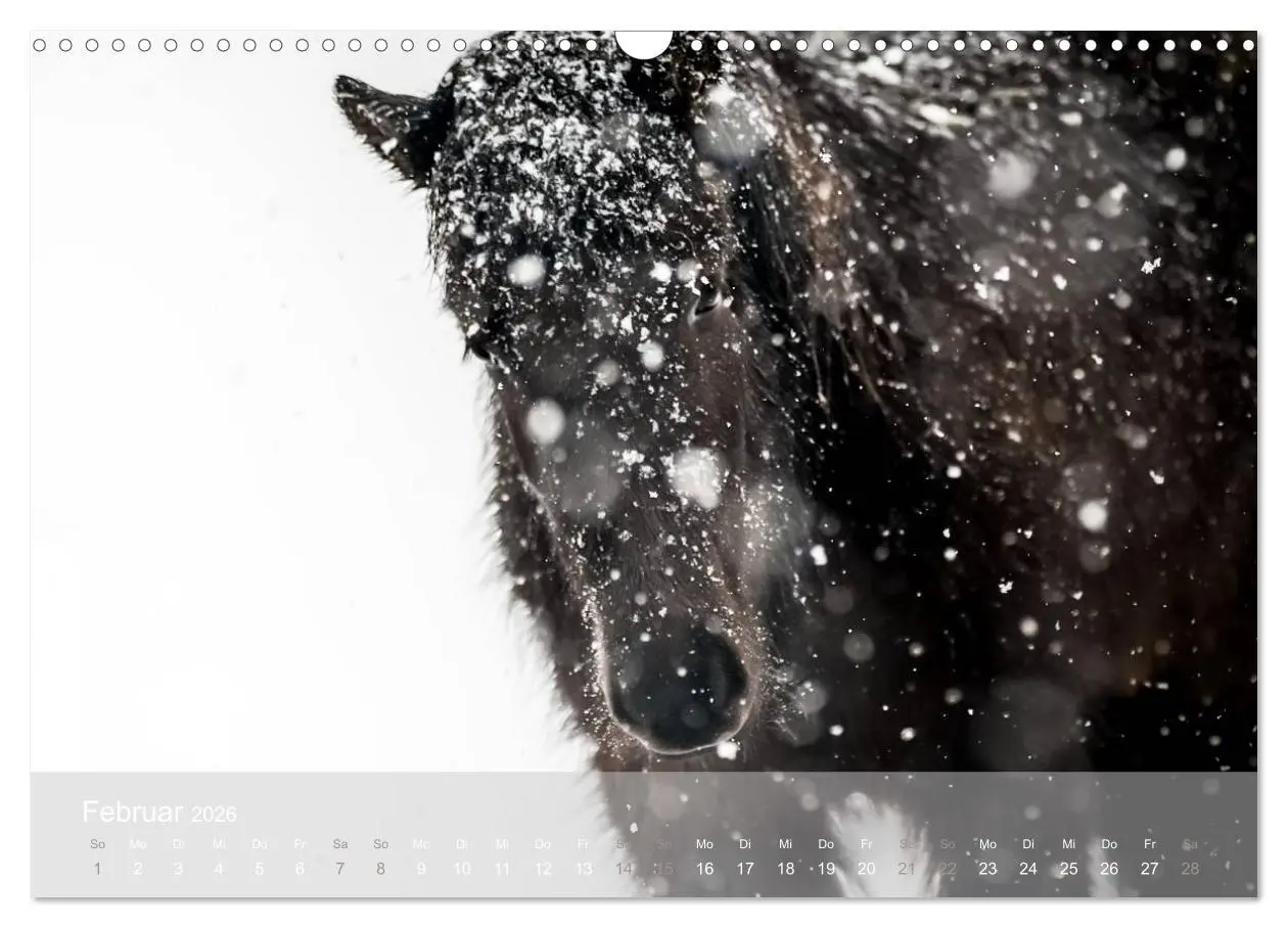 Bild: 9783457993637 | Islandpferde - Stolz und Stark durch Sommer und Winter...