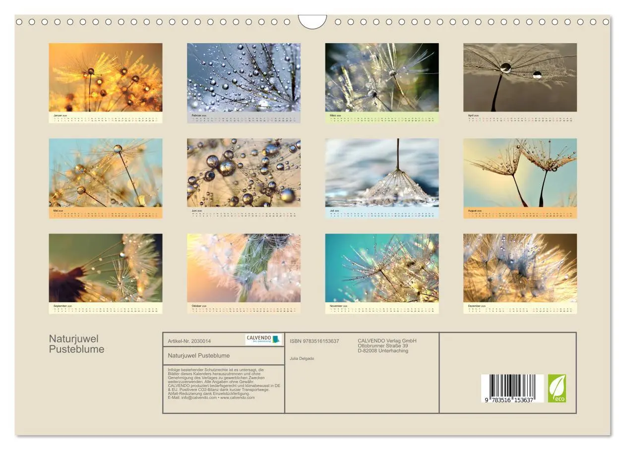 Bild: 9783516153637 | Naturjuwel Pusteblume (Wandkalender 2026 DIN A3 quer), CALVENDO...