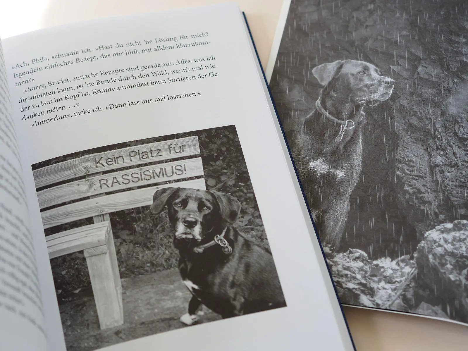 Bild: 9783963403637 | Ziemlich bester Hund | Gespräche mit Phil über Gott und die Welt