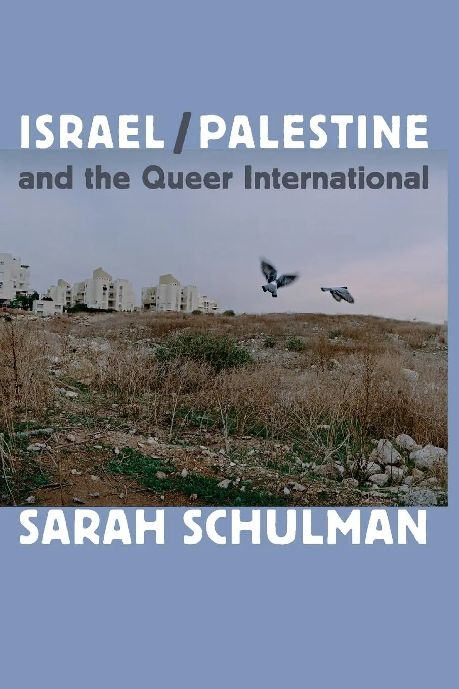Cover: 9780822353737 | Israel/Palestine and the Queer International | Sarah Schulman | Buch