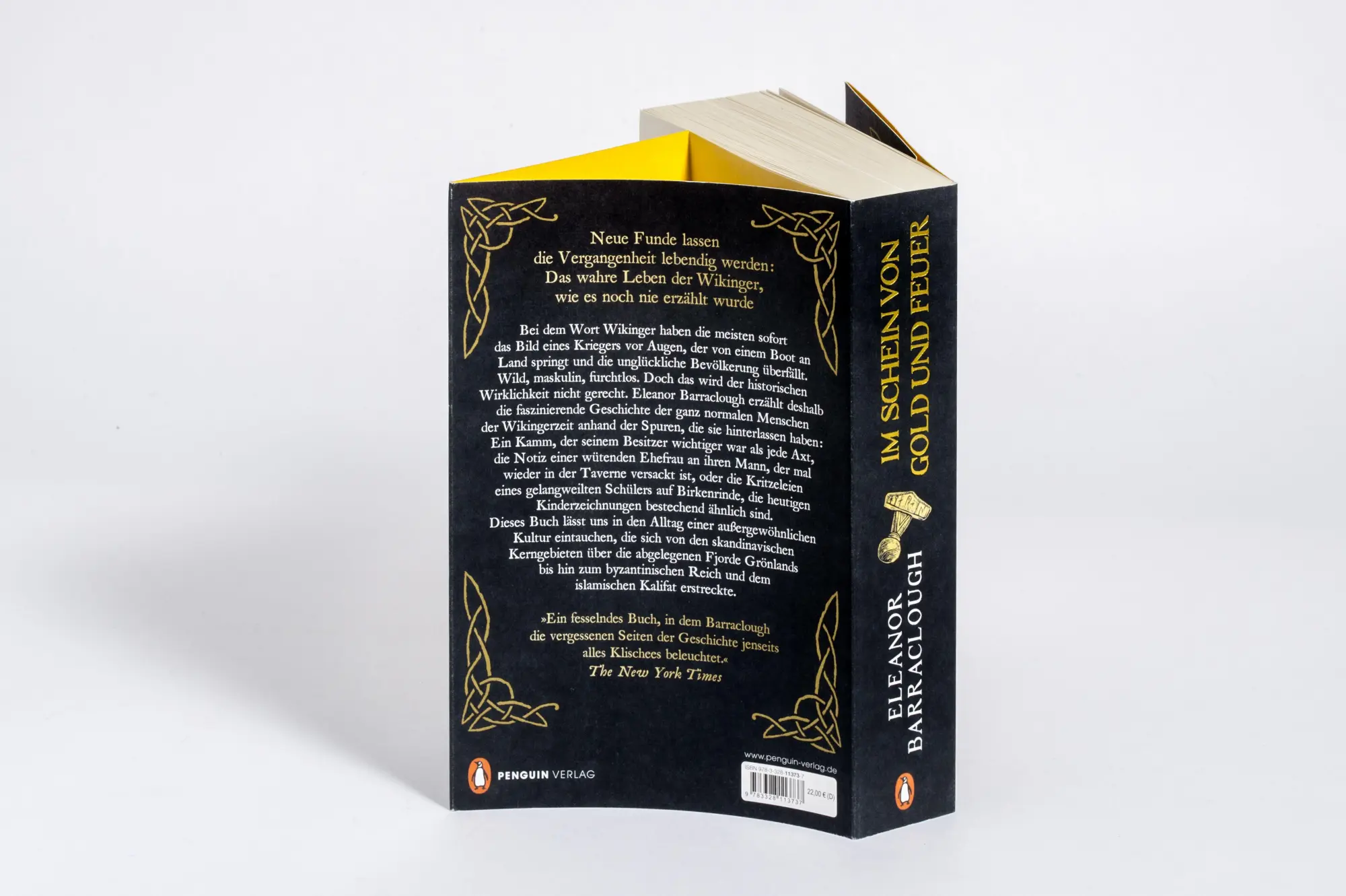 Bild: 9783328113737 | Im Schein von Gold und Feuer | Eleanor Barraclough | Taschenbuch