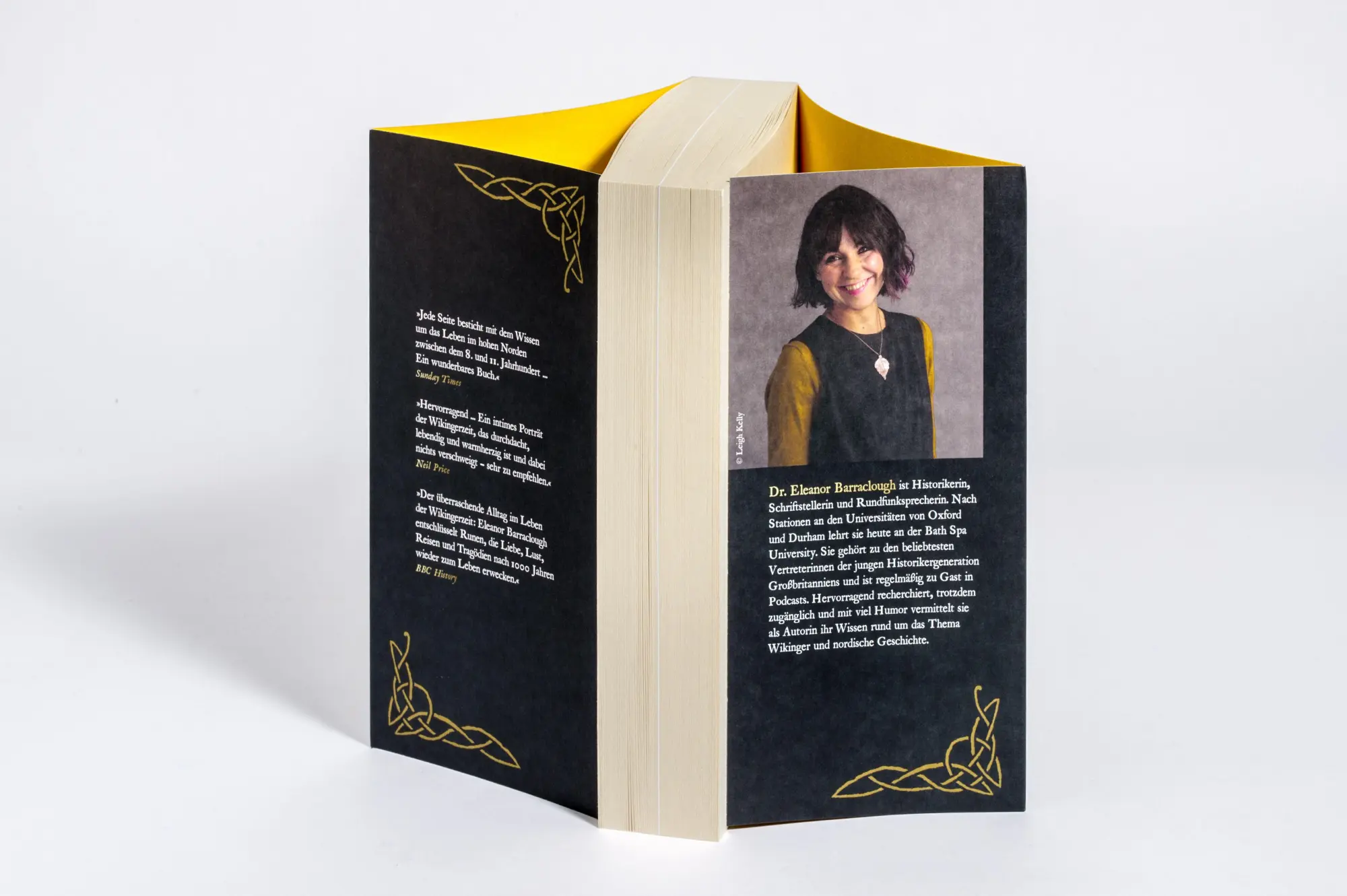 Bild: 9783328113737 | Im Schein von Gold und Feuer | Eleanor Barraclough | Taschenbuch