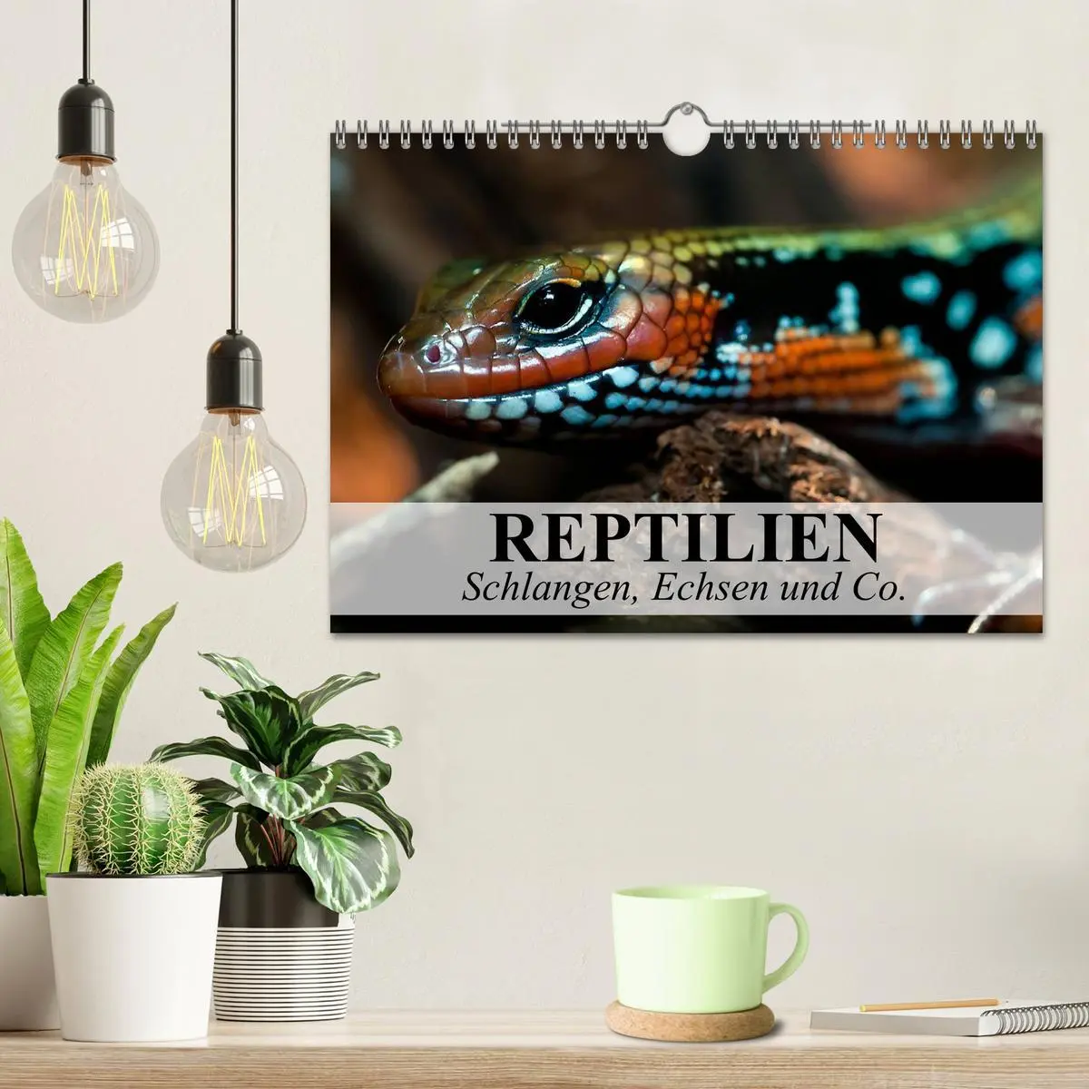 Bild: 9783516073737 | Reptilien Schlangen, Echsen und Co. (Wandkalender 2026 DIN A4...
