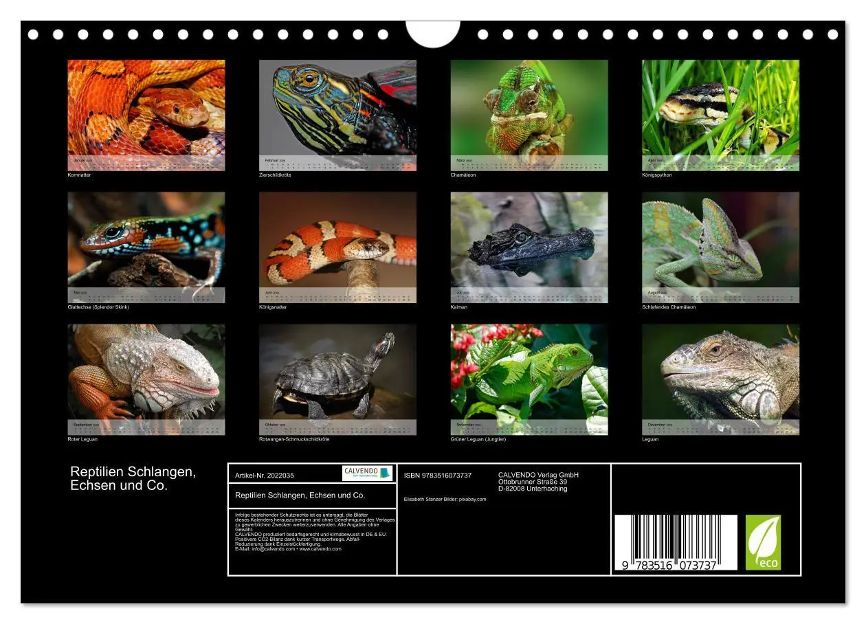 Bild: 9783516073737 | Reptilien Schlangen, Echsen und Co. (Wandkalender 2026 DIN A4...