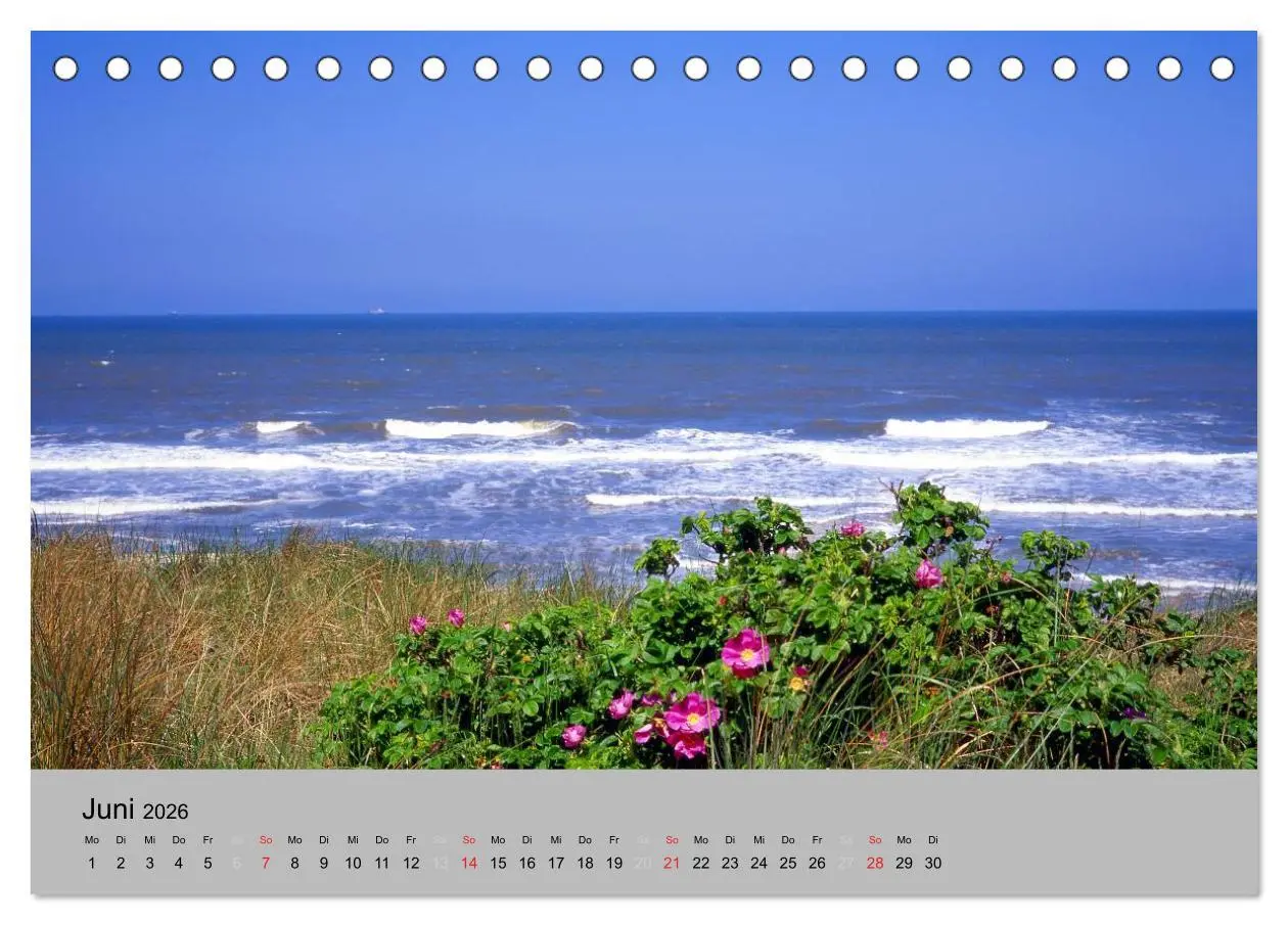 Bild: 9783516213737 | Ostfriesland an der Nordseeküste (Tischkalender 2026 DIN A5 quer),...