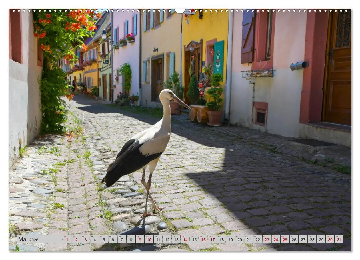 Bild: 9783457593837 | Frankreichs idyllische Dörfer (Wandkalender 2026 DIN A2 quer),...