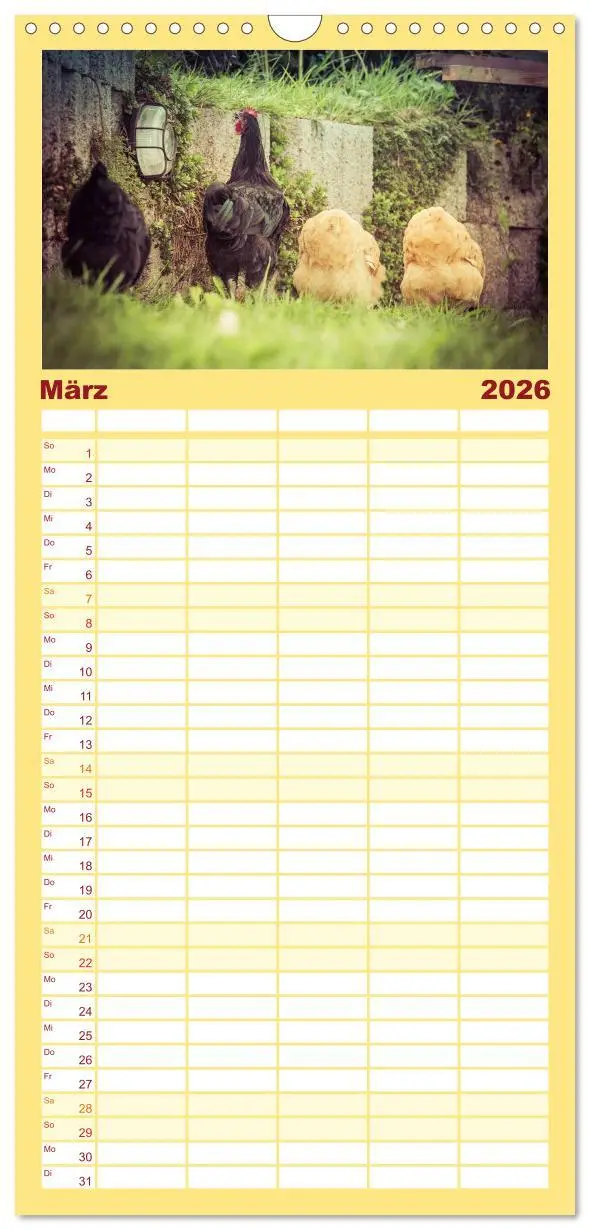 Bild: 9783516513837 | Familienplaner 2026 - Hühner in meinem Garten mit 5 Spalten...