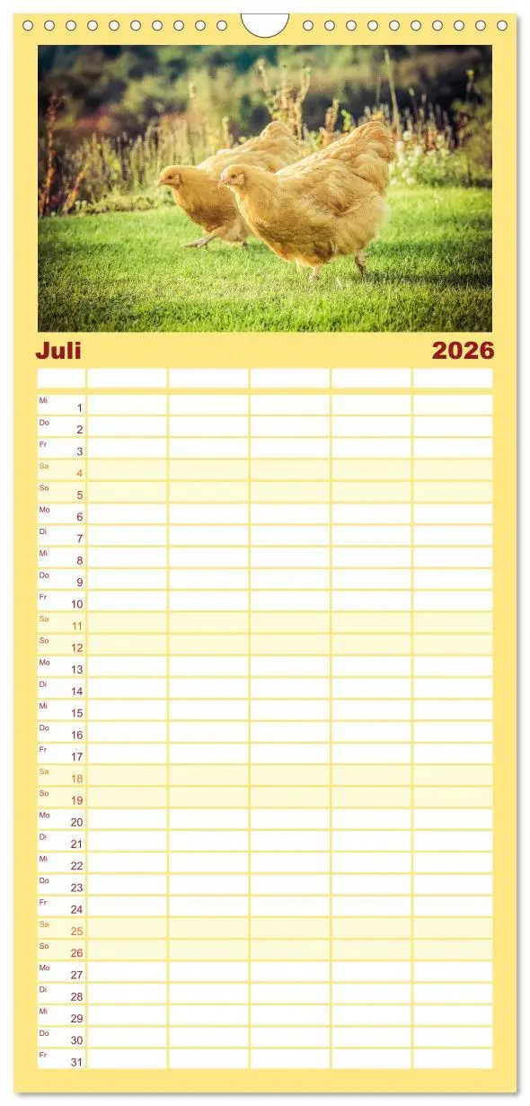 Bild: 9783516513837 | Familienplaner 2026 - Hühner in meinem Garten mit 5 Spalten...