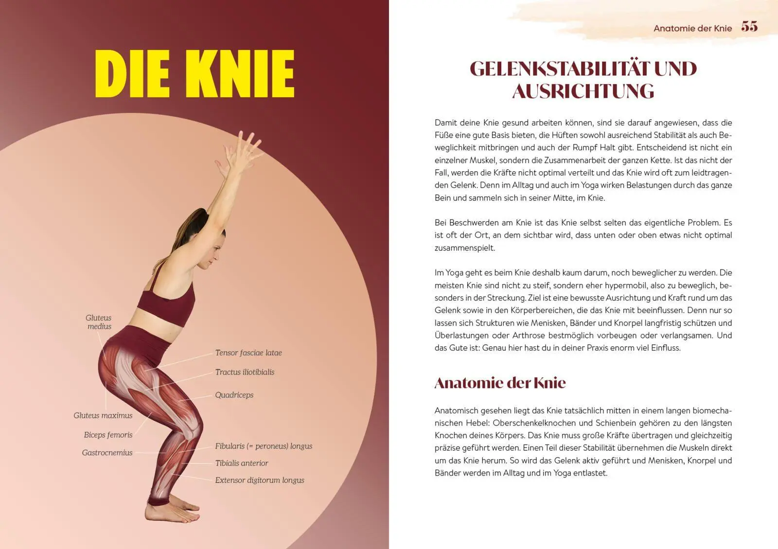Bild: 9783742303837 | Easy Yoga-Anatomie | Lisa Delikaris-Monn | Taschenbuch | 304 S. | 2026