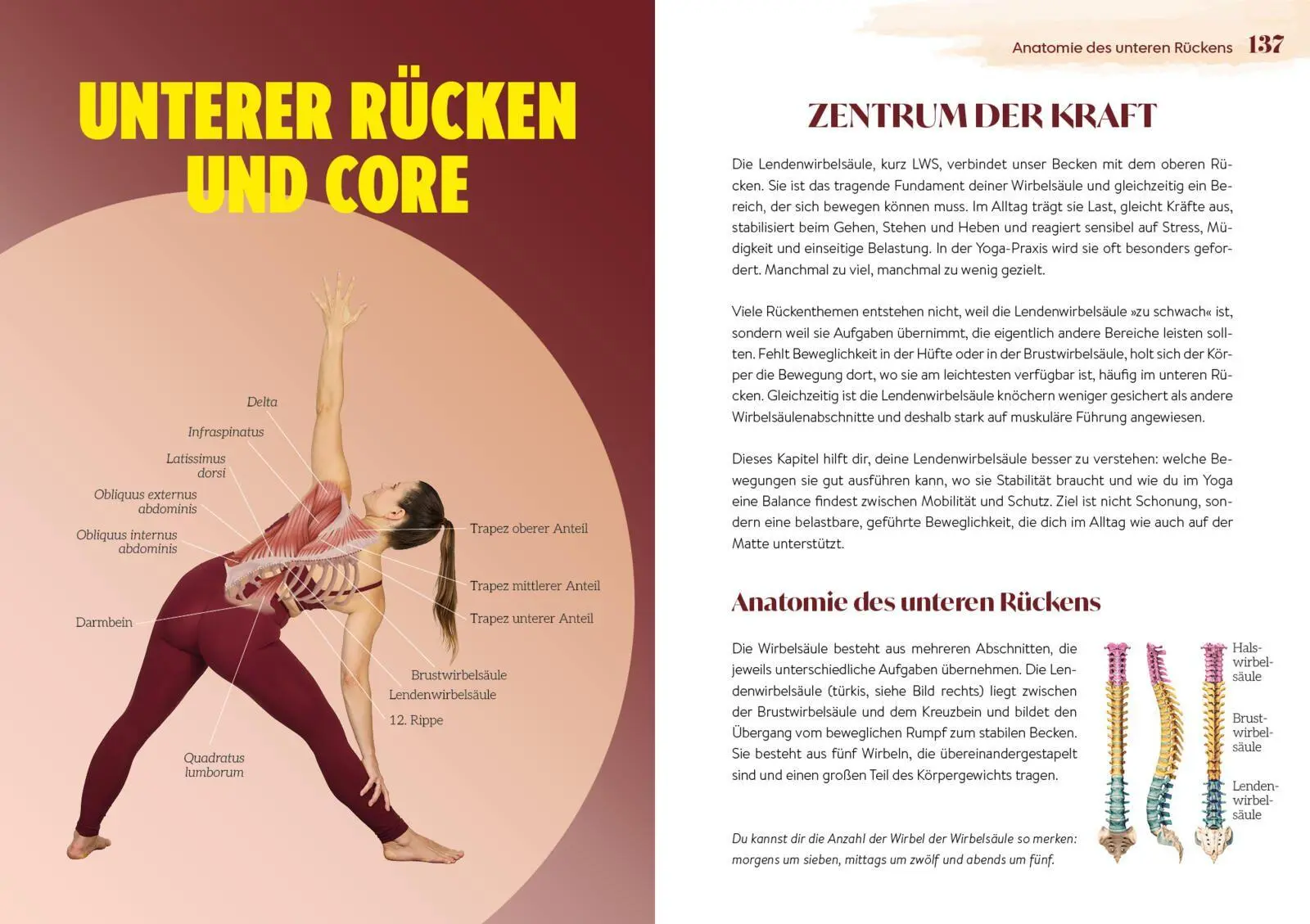 Bild: 9783742303837 | Easy Yoga-Anatomie | Lisa Delikaris-Monn | Taschenbuch | 304 S. | 2026