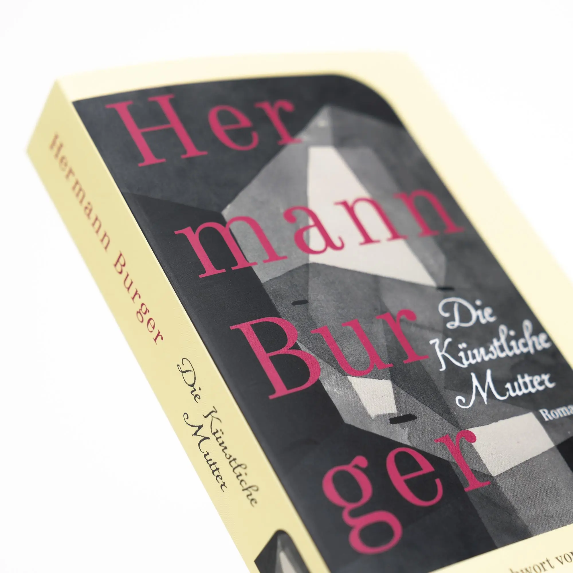 Bild: 9783312013937 | Die Künstliche Mutter | Hermann Burger | Taschenbuch | 400 S. | 2025