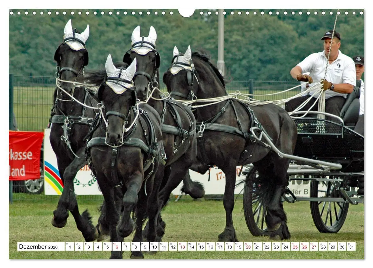 Bild: 9783457583937 | Vierspänner Herausforderung Fahrsport (Wandkalender 2026 DIN A3...