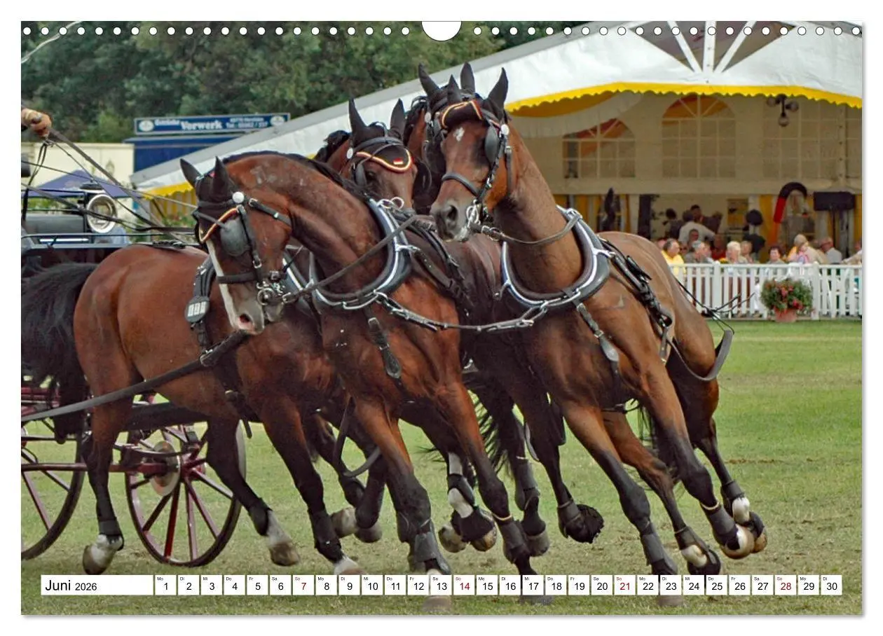 Bild: 9783457583937 | Vierspänner Herausforderung Fahrsport (Wandkalender 2026 DIN A3...