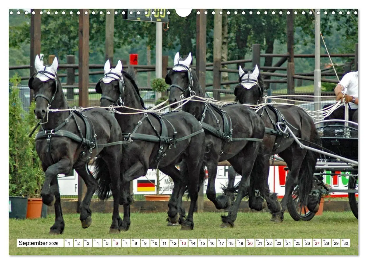 Bild: 9783457583937 | Vierspänner Herausforderung Fahrsport (Wandkalender 2026 DIN A3...