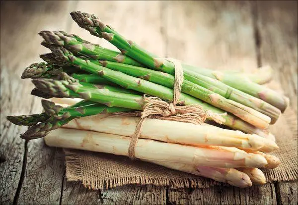 Bild: 9783731883937 | Küchenkalender 2026 | Korsch Verlag | Kalender | Englisch Broschur