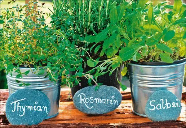 Bild: 9783731883937 | Küchenkalender 2026 | Korsch Verlag | Kalender | Englisch Broschur