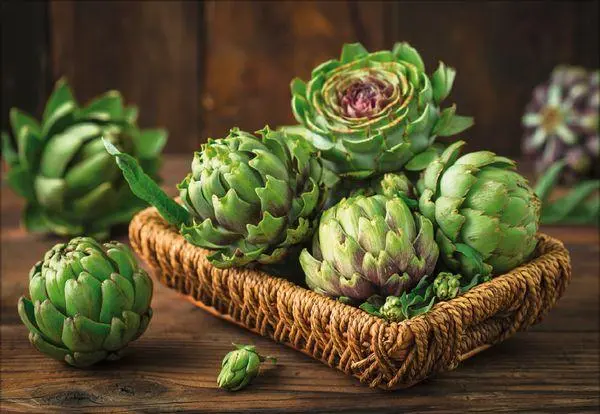 Bild: 9783731883937 | Küchenkalender 2026 | Korsch Verlag | Kalender | Englisch Broschur