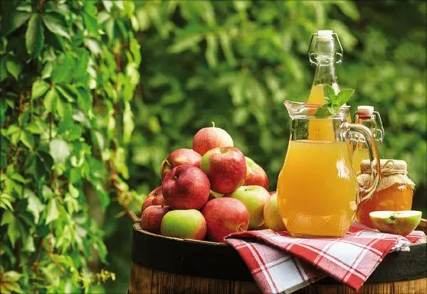 Bild: 9783731883937 | Küchenkalender 2026 | Korsch Verlag | Kalender | Englisch Broschur