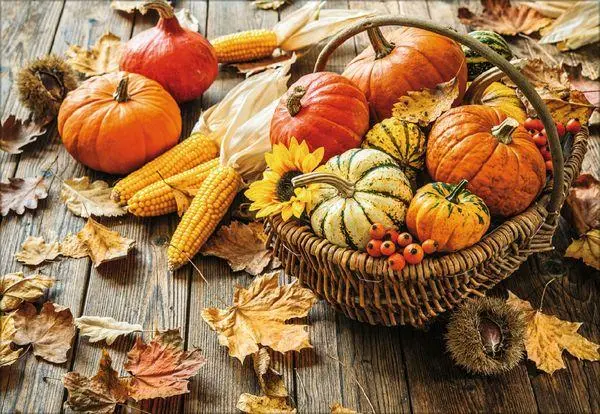 Bild: 9783731883937 | Küchenkalender 2026 | Korsch Verlag | Kalender | Englisch Broschur