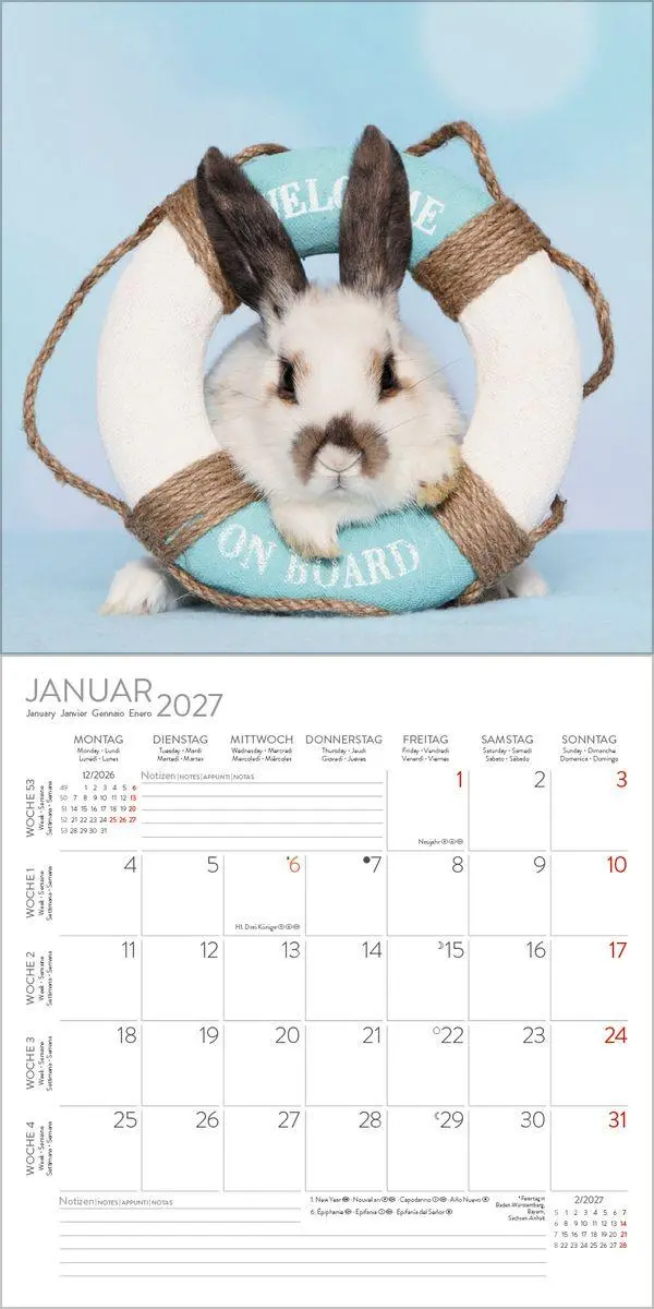 Bild: 9783819303937 | Kaninchen 2027 | Verlag Korsch | Kalender | 13 S. | Deutsch | 2027