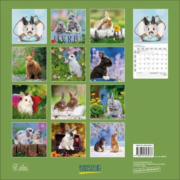 Bild: 9783819303937 | Kaninchen 2027 | Verlag Korsch | Kalender | 13 S. | Deutsch | 2027