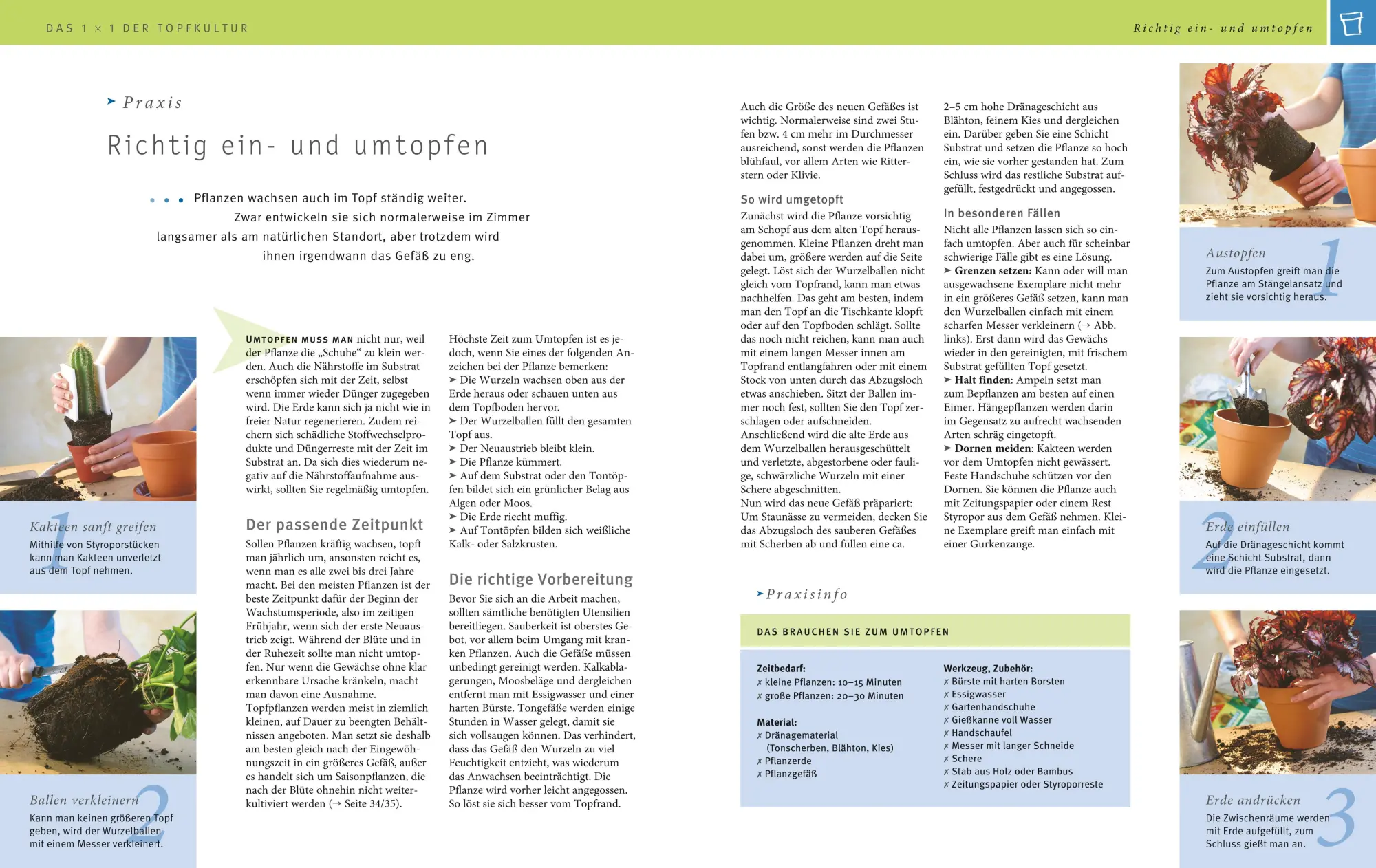 Bild: 9783833853937 | Zimmerpflanzen | Karin Greiner (u. a.) | Buch | GU Gartenspass | 2016