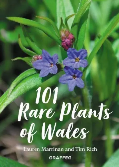 Cover: 9781913134037 | 101 Rare Plants of Wales | Lauren Marrinan (u. a.) | Buch | Gebunden