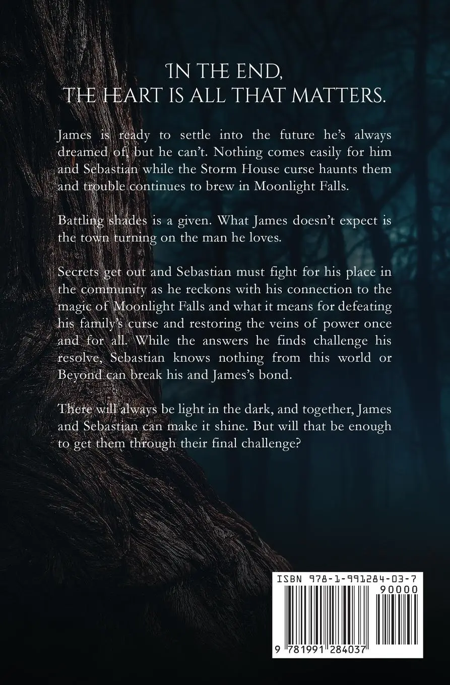Rückseite: 9781991284037 | The Heart of Moonlight Falls | Colette Rivera | Taschenbuch | Englisch