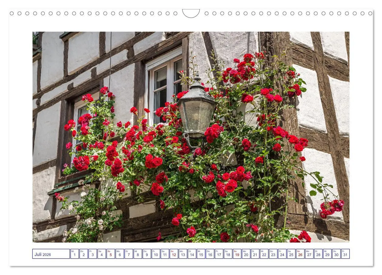 Bild: 9783457544037 | Radolfzell am schönen Bodensee (Wandkalender 2026 DIN A3 quer),...