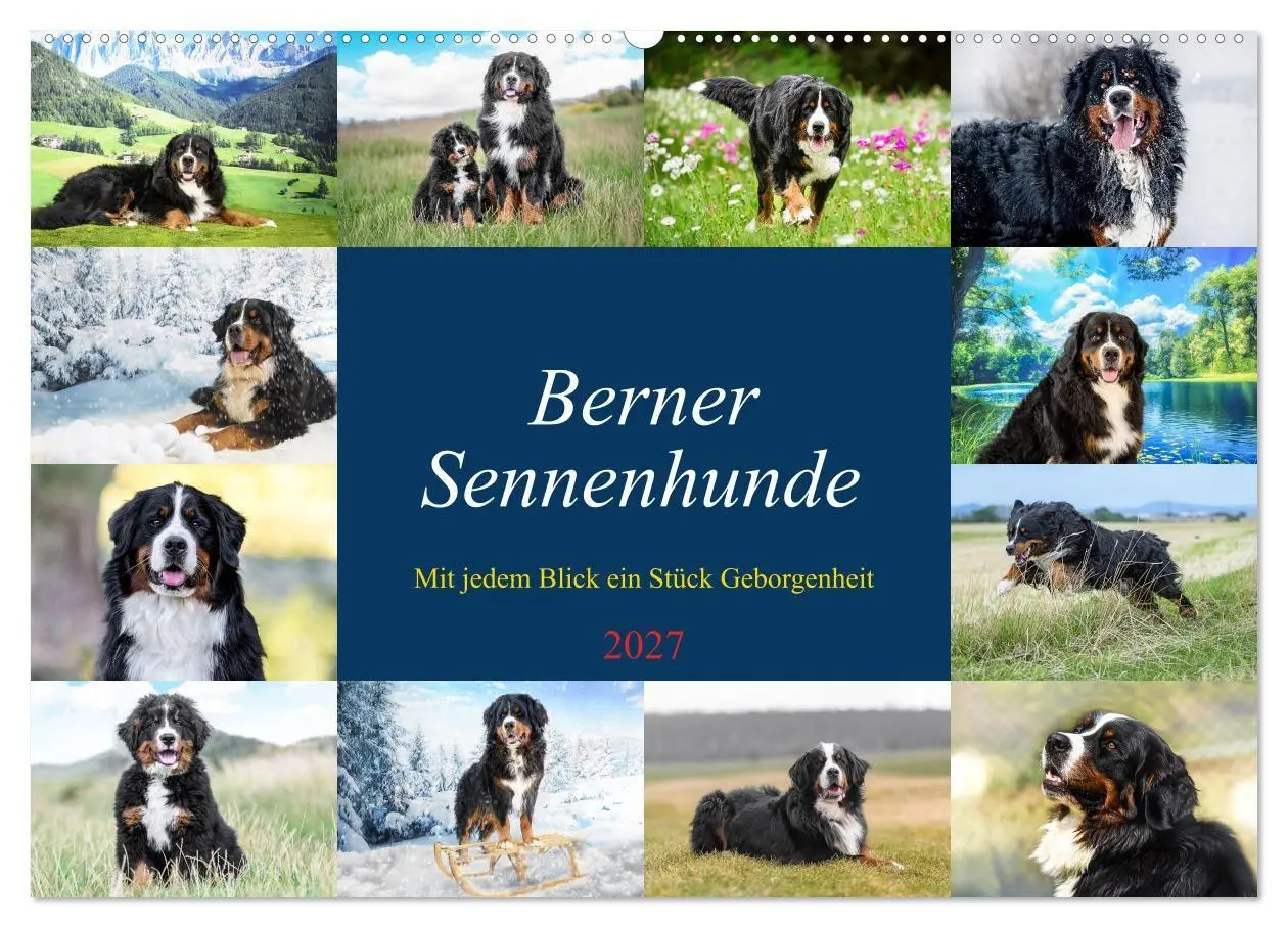 Cover: 9783516874037 | Berner Sennenhunde - Mit jedem Blick ein Stück Geborgenheit...