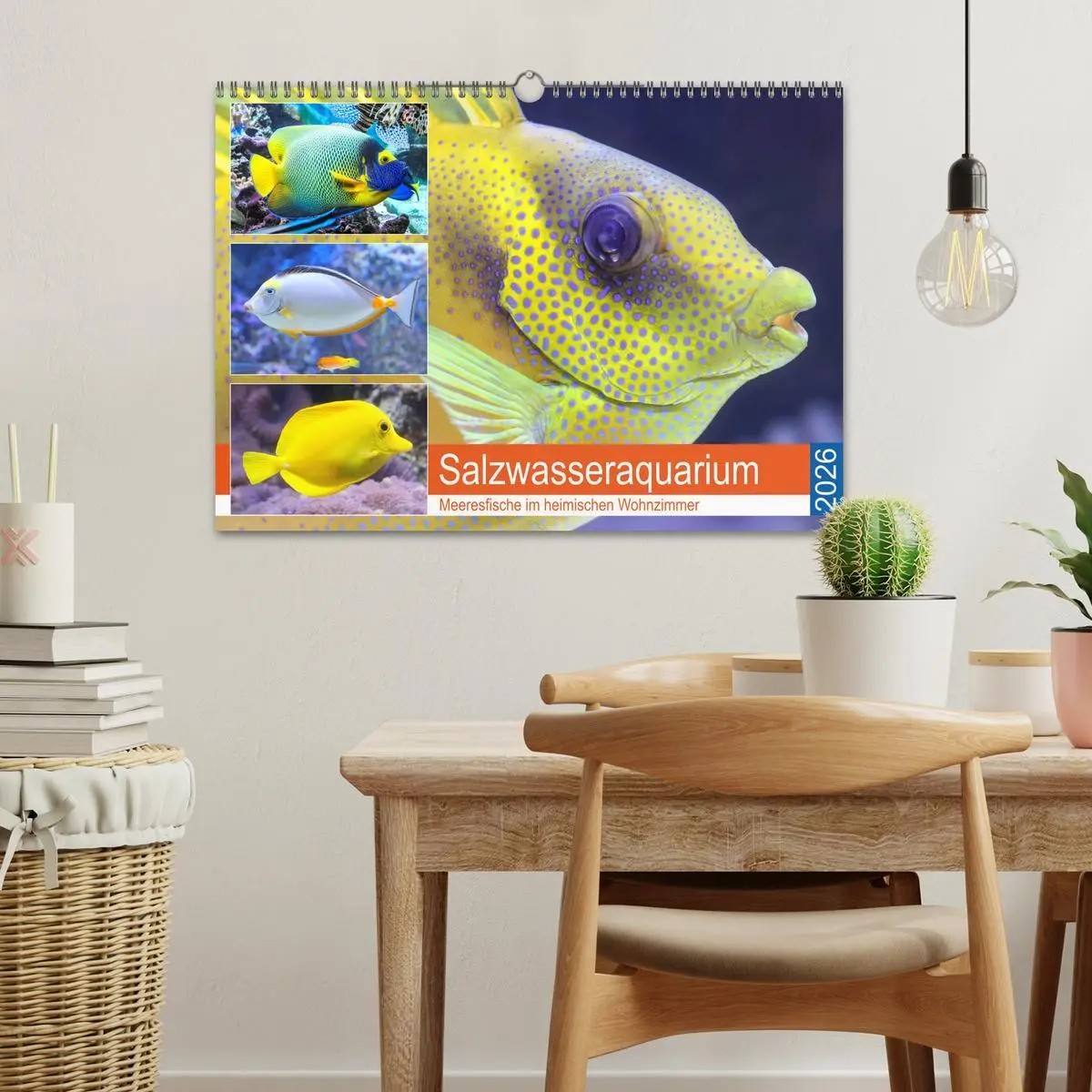 Bild: 9783457774137 | Salzwasseraquarium. Meeresfische im heimischen Wohnzimmer...