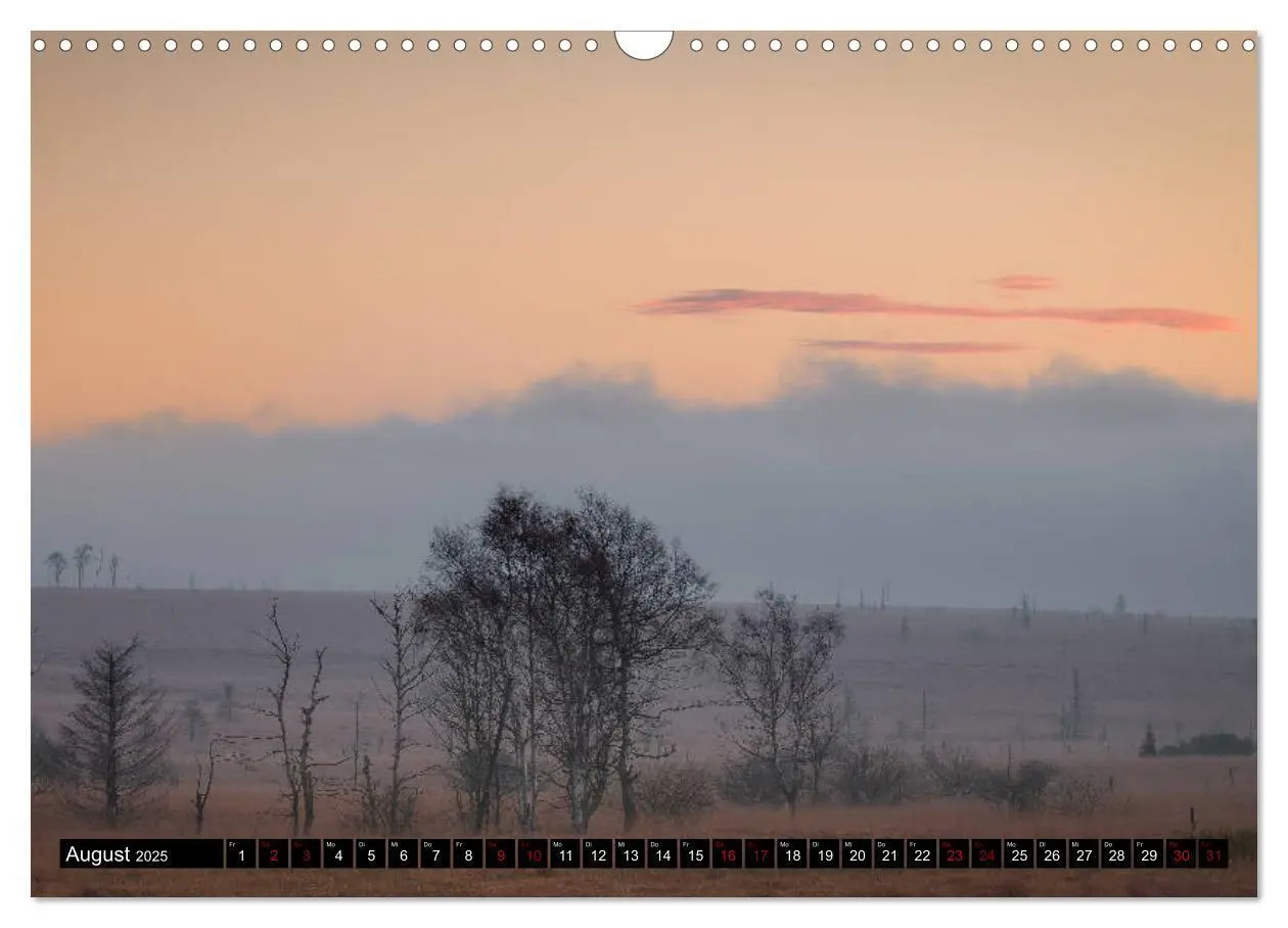 Bild: 9783435434237 | Das Hohe Venn (Wandkalender 2025 DIN A3 quer), CALVENDO Monatskalender
