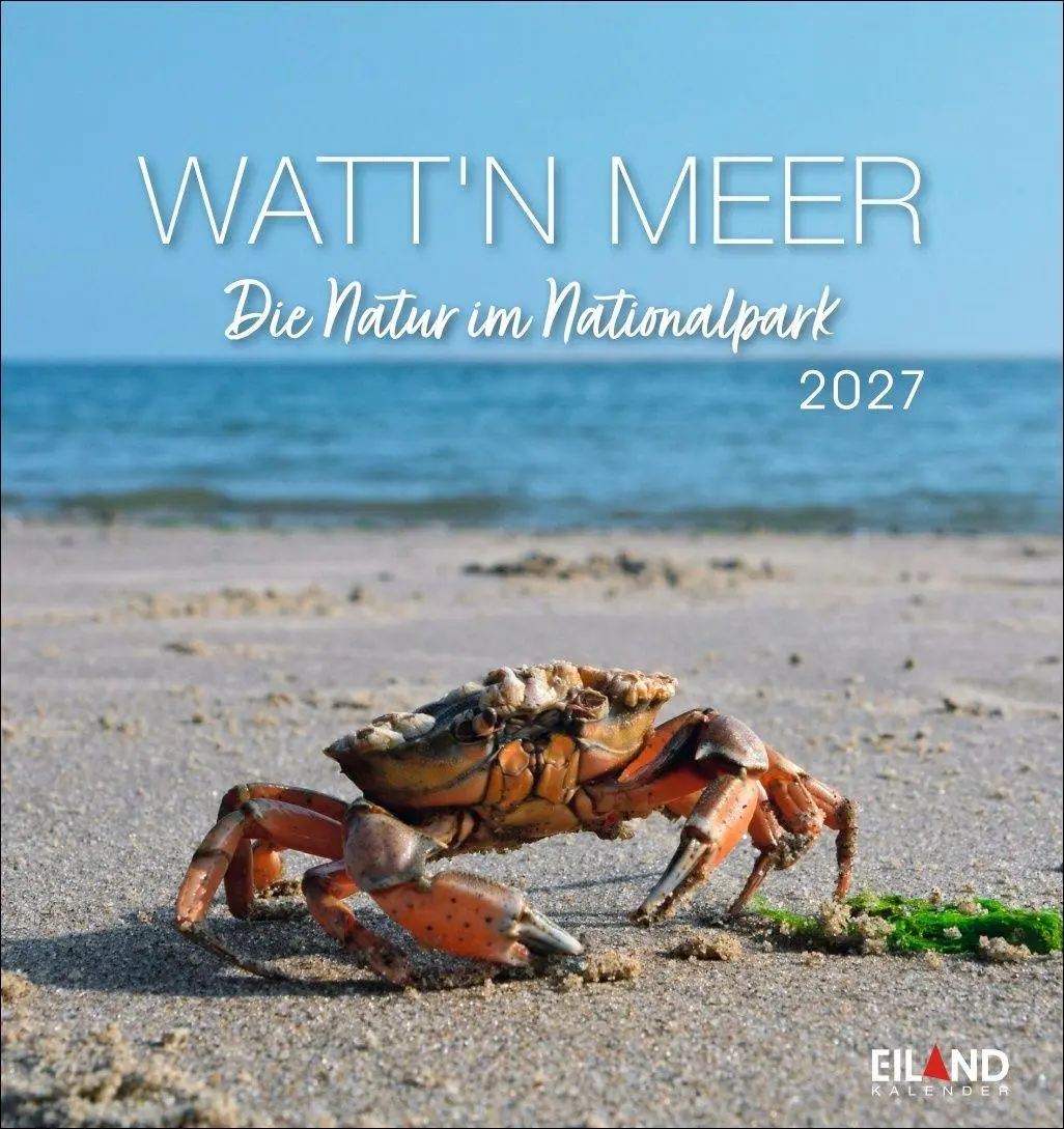 Cover: 9783964024237 | Watt'n Meer Postkartenkalender 2027 - Die Natur im Nationalpark | 2027