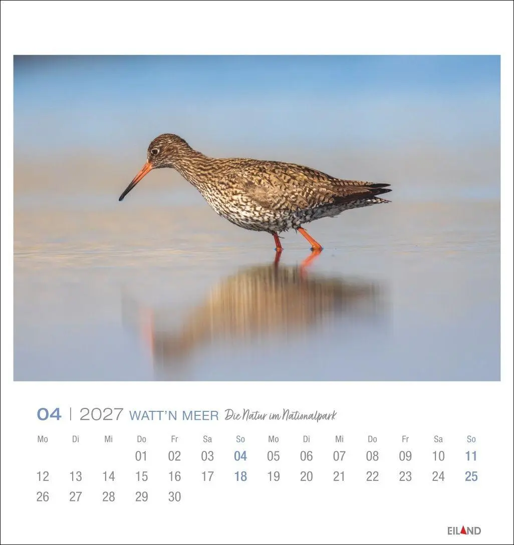 Bild: 9783964024237 | Watt'n Meer Postkartenkalender 2027 - Die Natur im Nationalpark | 2027
