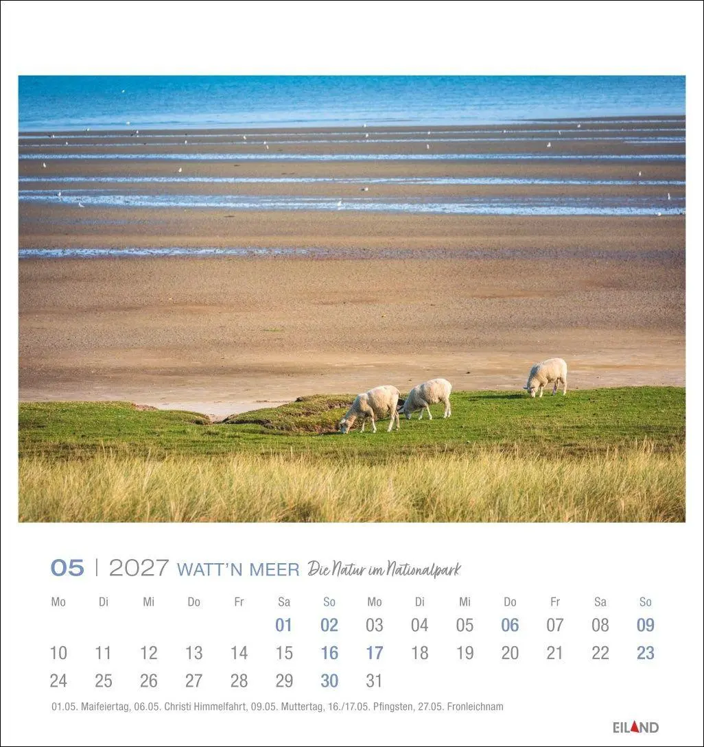 Bild: 9783964024237 | Watt'n Meer Postkartenkalender 2027 - Die Natur im Nationalpark | 2027