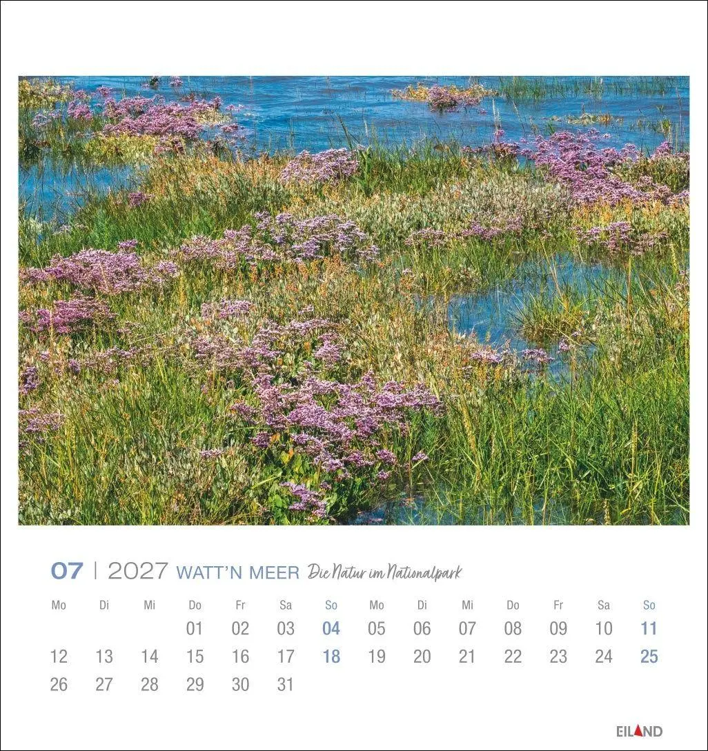 Bild: 9783964024237 | Watt'n Meer Postkartenkalender 2027 - Die Natur im Nationalpark | 2027