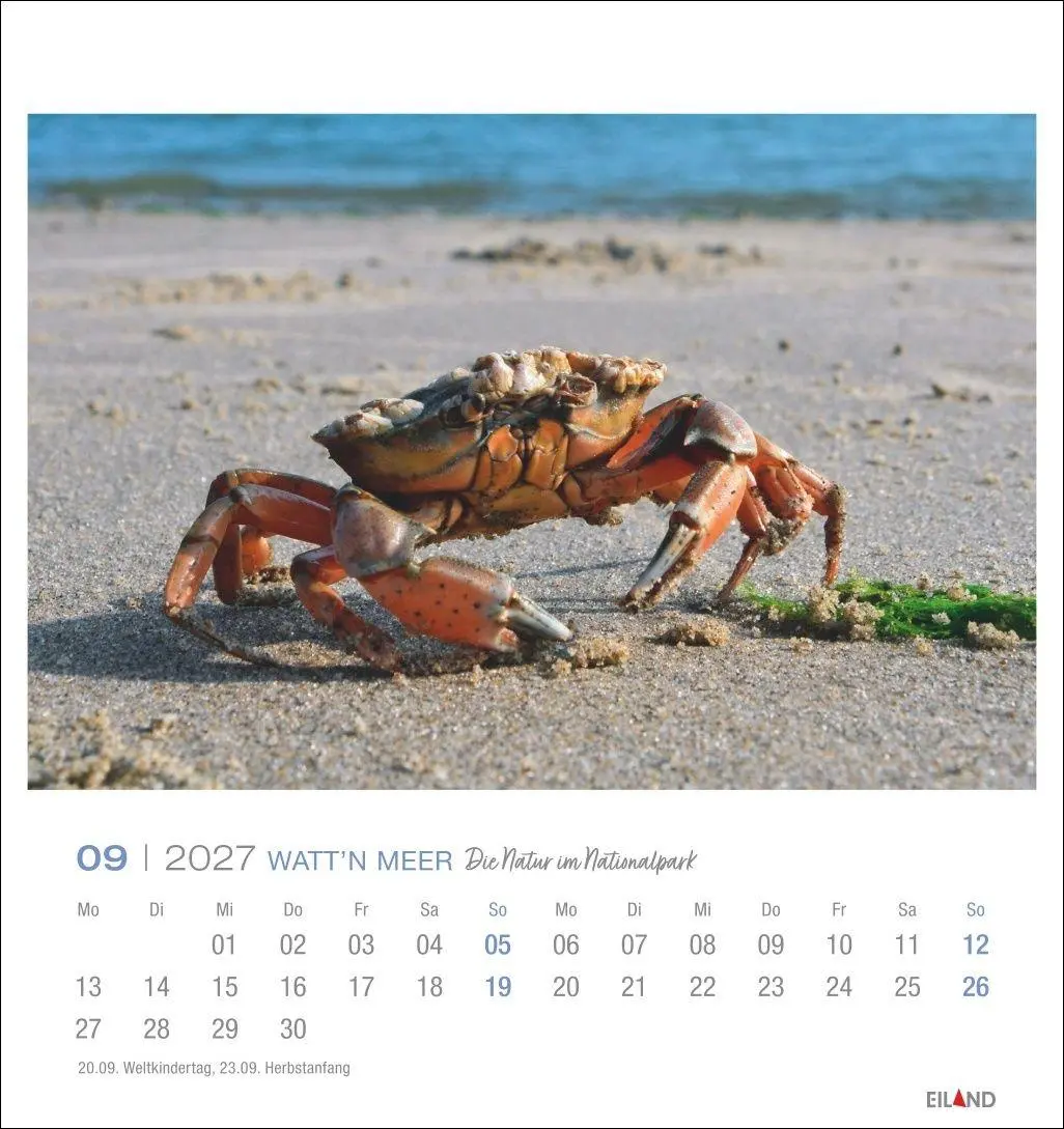 Bild: 9783964024237 | Watt'n Meer Postkartenkalender 2027 - Die Natur im Nationalpark | 2027