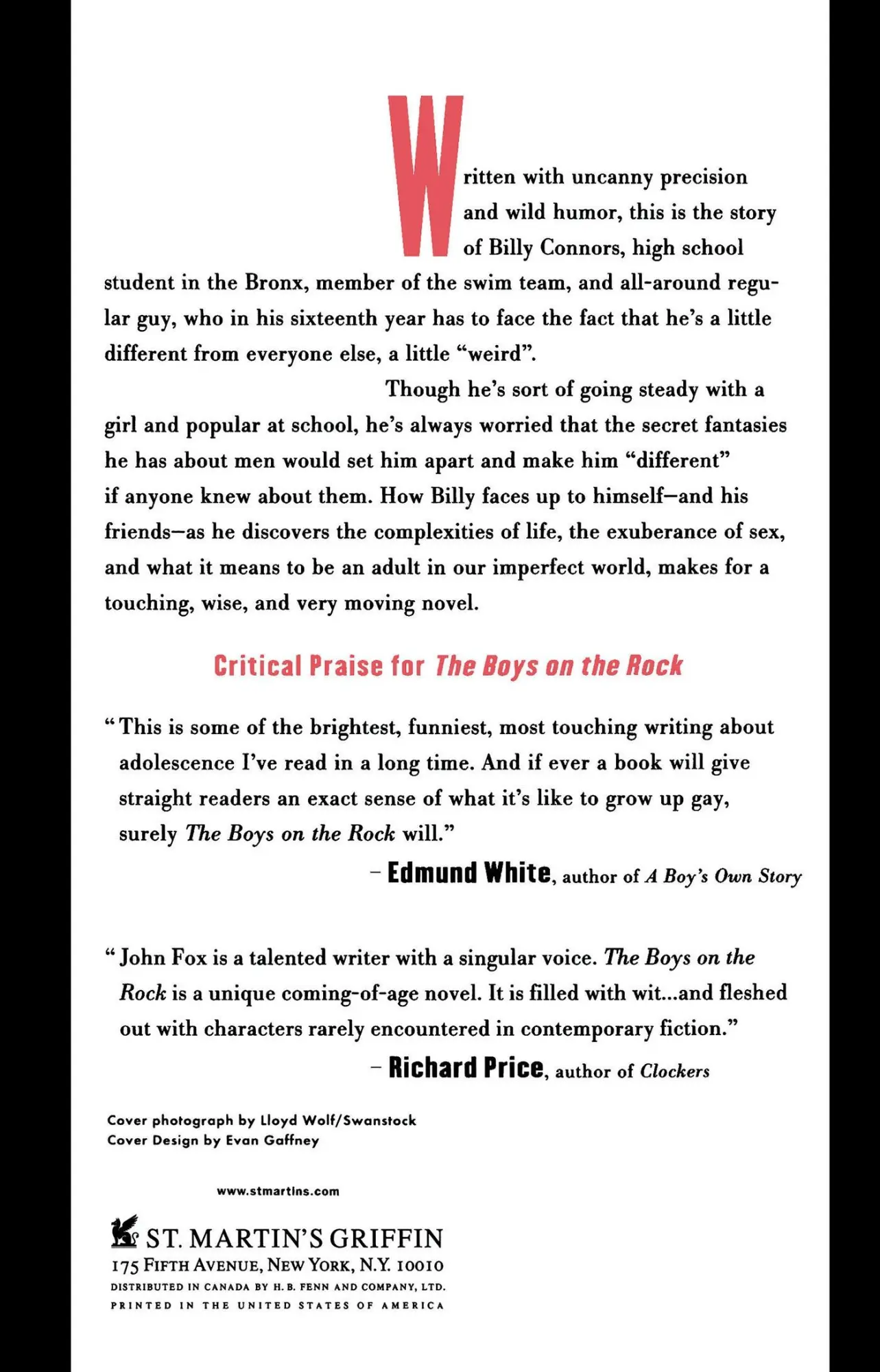 Rückseite: 9780312104337 | The Boys on the Rock | John Fox | Taschenbuch | Englisch | 1994