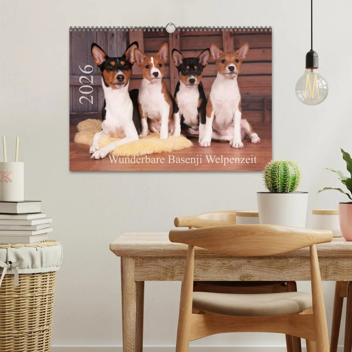 Bild: 9783457824337 | Wunderbare Basenji Welpenzeit (Wandkalender 2026 DIN A3 quer),...