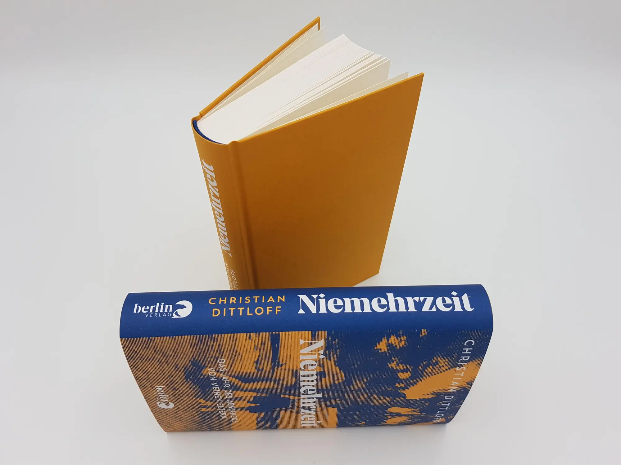 Bild: 9783827014337 | Niemehrzeit | Christian Dittloff | Buch | 224 S. | Deutsch | 2021