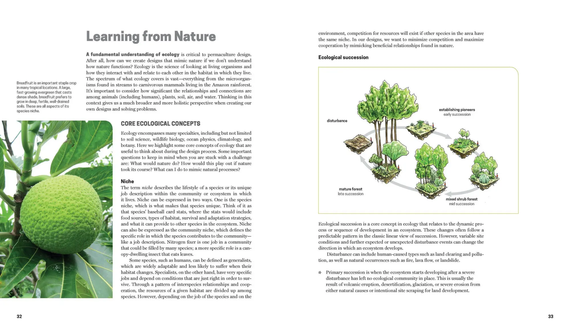 Bild: 9781604694437 | Practical Permaculture | Jessi Bloom (u. a.) | Taschenbuch | Englisch