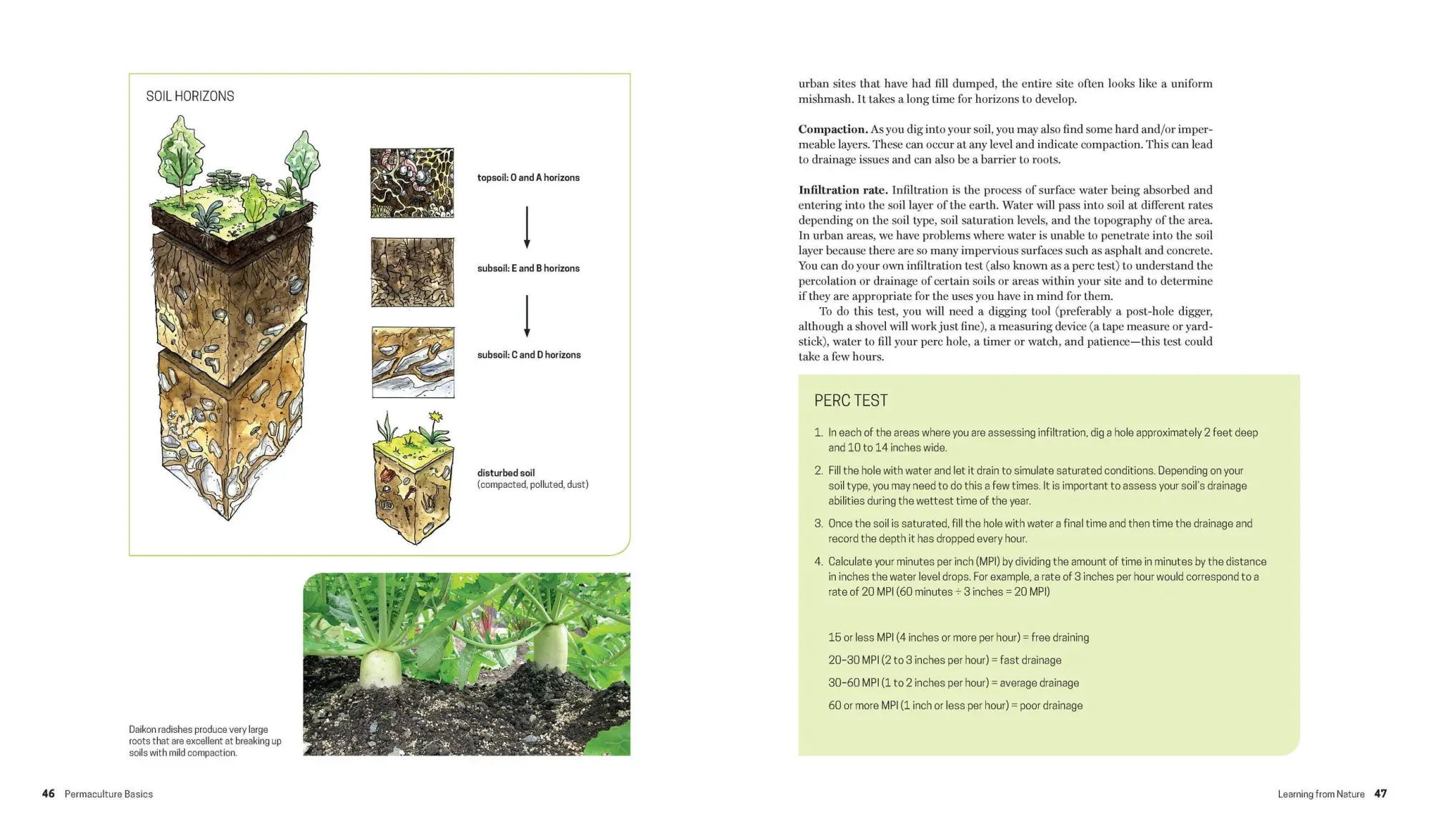 Bild: 9781604694437 | Practical Permaculture | Jessi Bloom (u. a.) | Taschenbuch | Englisch