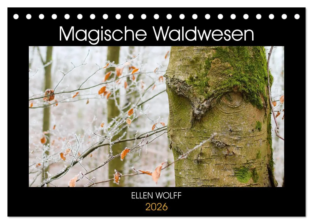 Cover: 9783457674437 | Magische Waldwesen (Tischkalender 2026 DIN A5 quer), CALVENDO...
