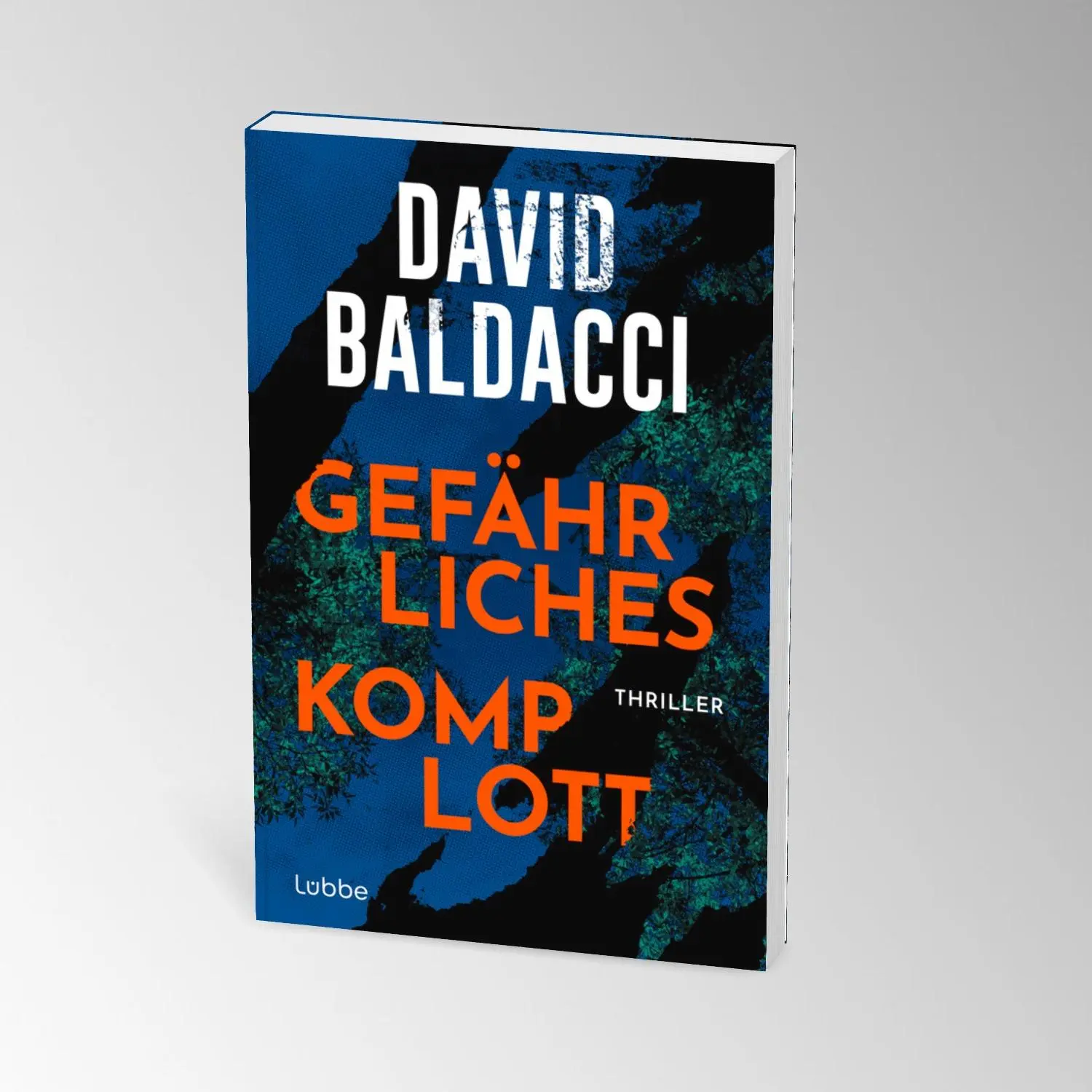 Bild: 9783404194537 | Gefährliches Komplott | David Baldacci | Taschenbuch | 496 S. | 2025