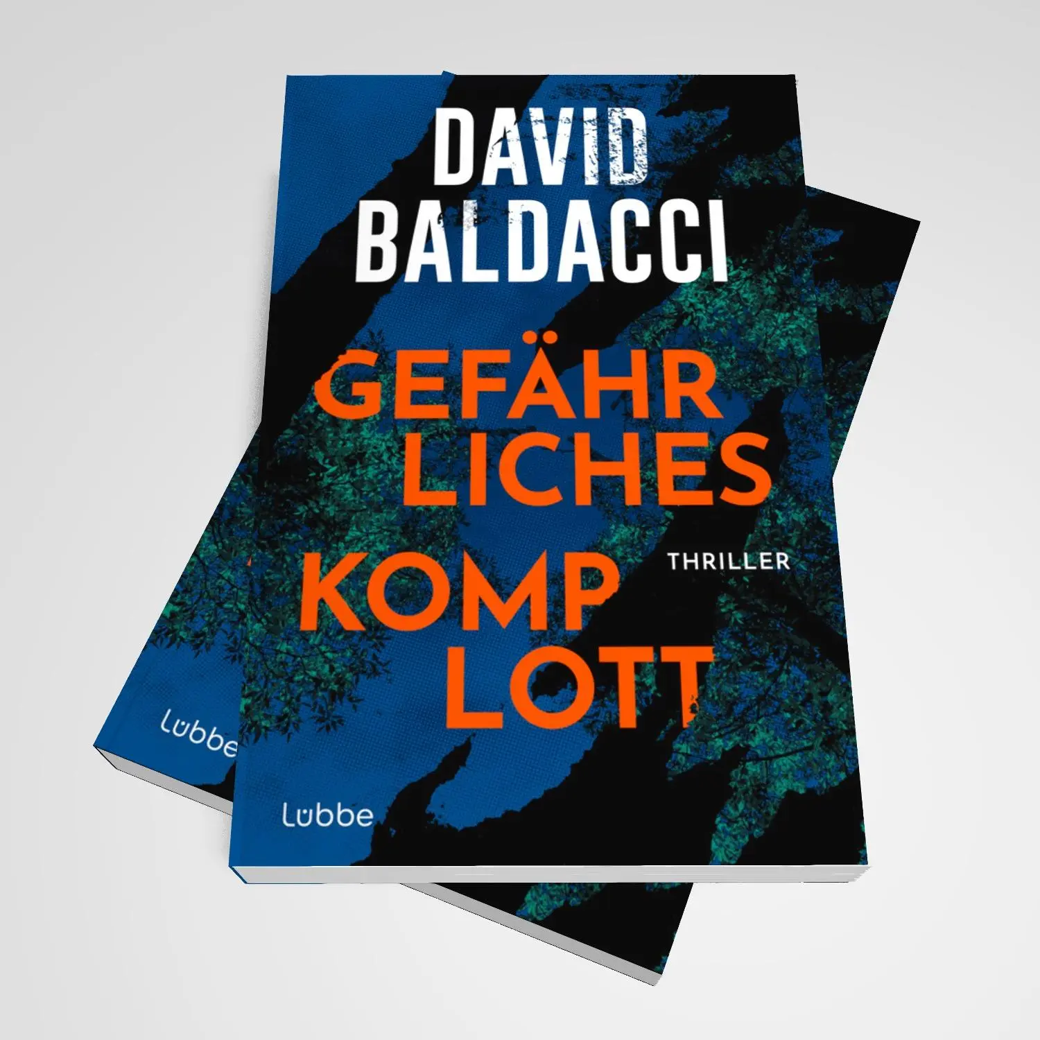 Bild: 9783404194537 | Gefährliches Komplott | David Baldacci | Taschenbuch | 496 S. | 2025