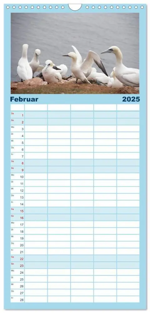 Bild: 9783457114537 | Familienplaner 2025 - Helgoland - idyllische Nordseeinsel mit 5...