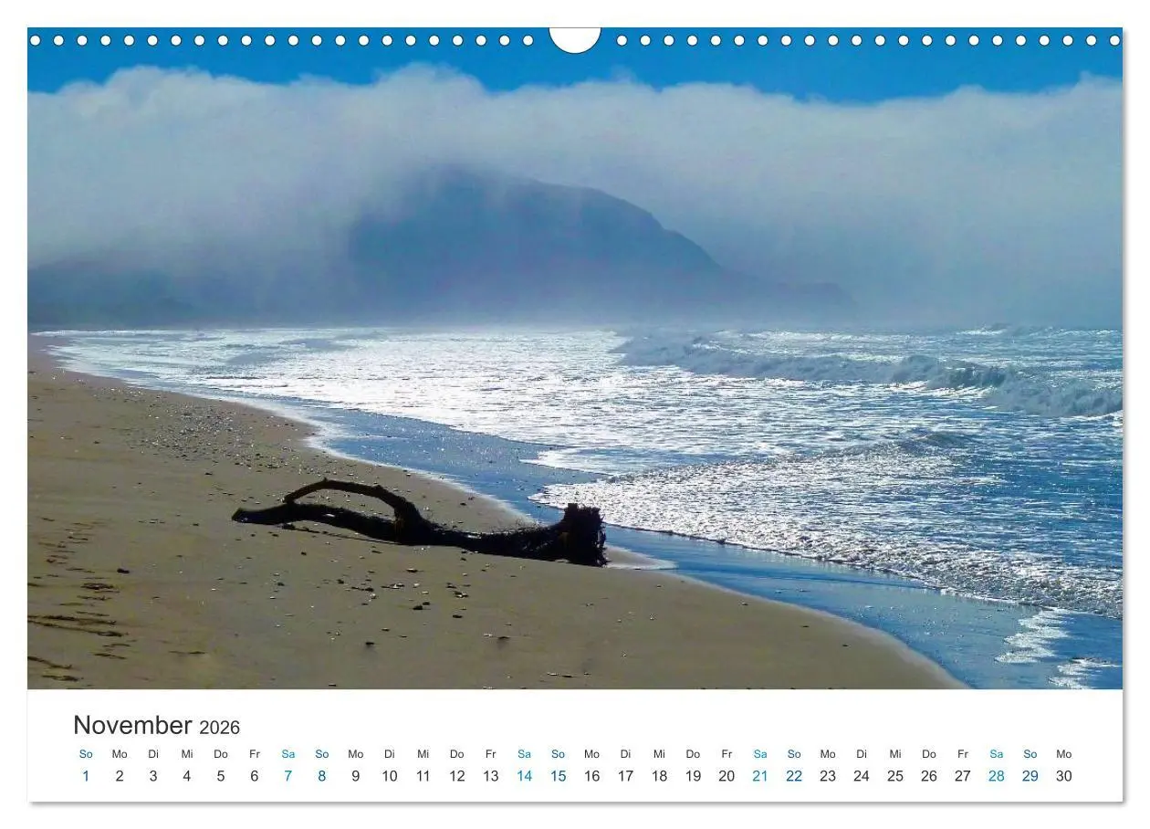 Bild: 9783516204537 | Vielfalt Neuseeland (Wandkalender 2026 DIN A3 quer), CALVENDO...