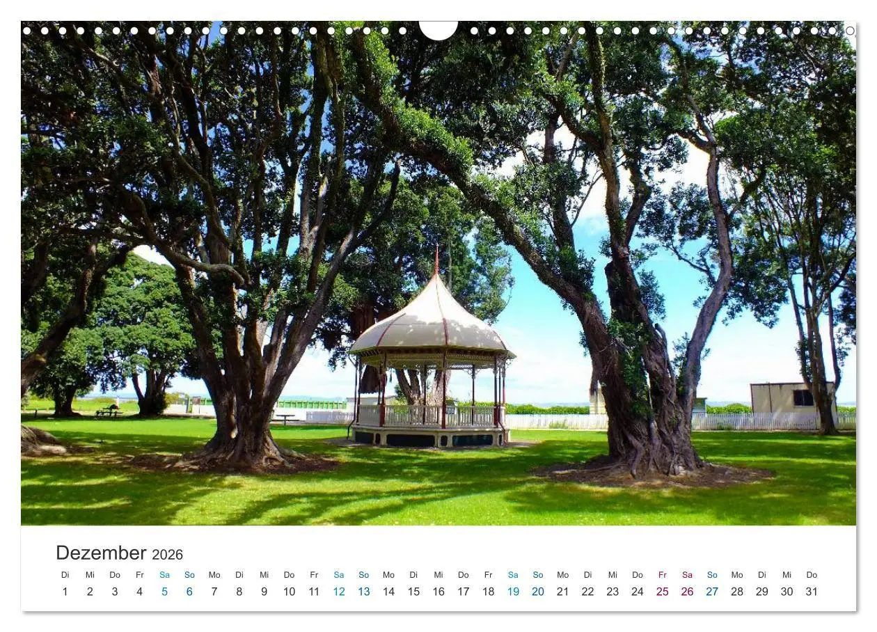 Bild: 9783516204537 | Vielfalt Neuseeland (Wandkalender 2026 DIN A3 quer), CALVENDO...