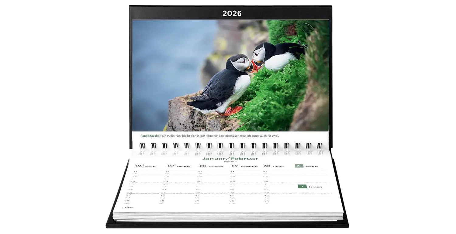 Bild: 9783965914537 | Island - KUNTH Tischkalender 2026 | Kalender | 54 S. | Deutsch | 2026
