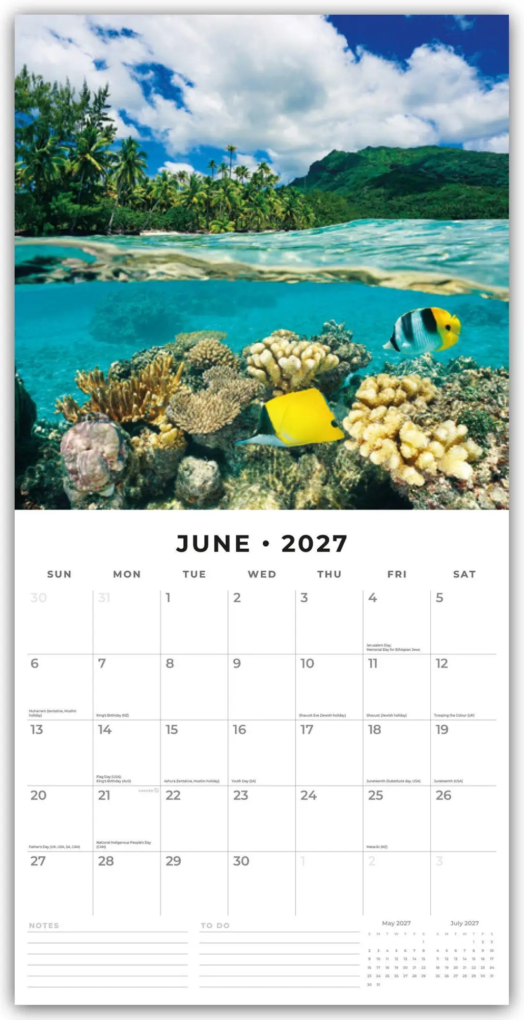 Bild: 9781837014637 | Ocean Life - Leben im Ozean 2027 - 16-Monatskalender | Robin Red